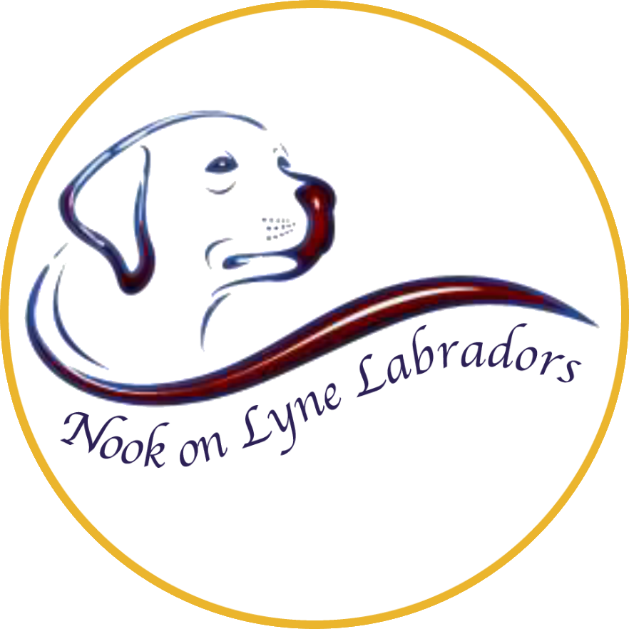Nook on Lyne Labradors - Licensed Labrador Breeders in Cumbria, UK