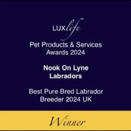 LuxLife Winner 2024