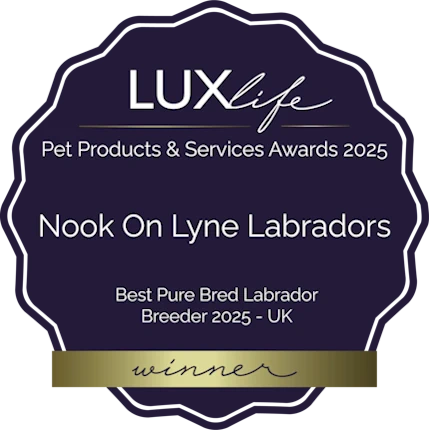 LuxLife Winner 2025